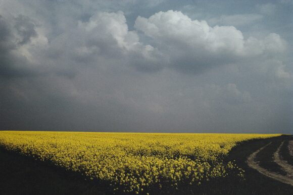 © Harry Gruyaert