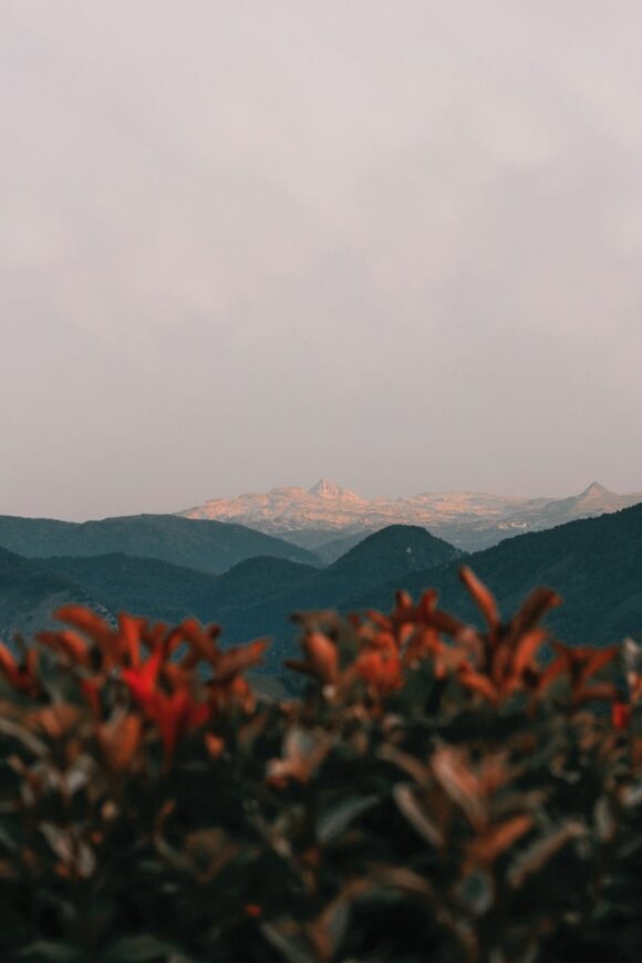 © Chloé Laval