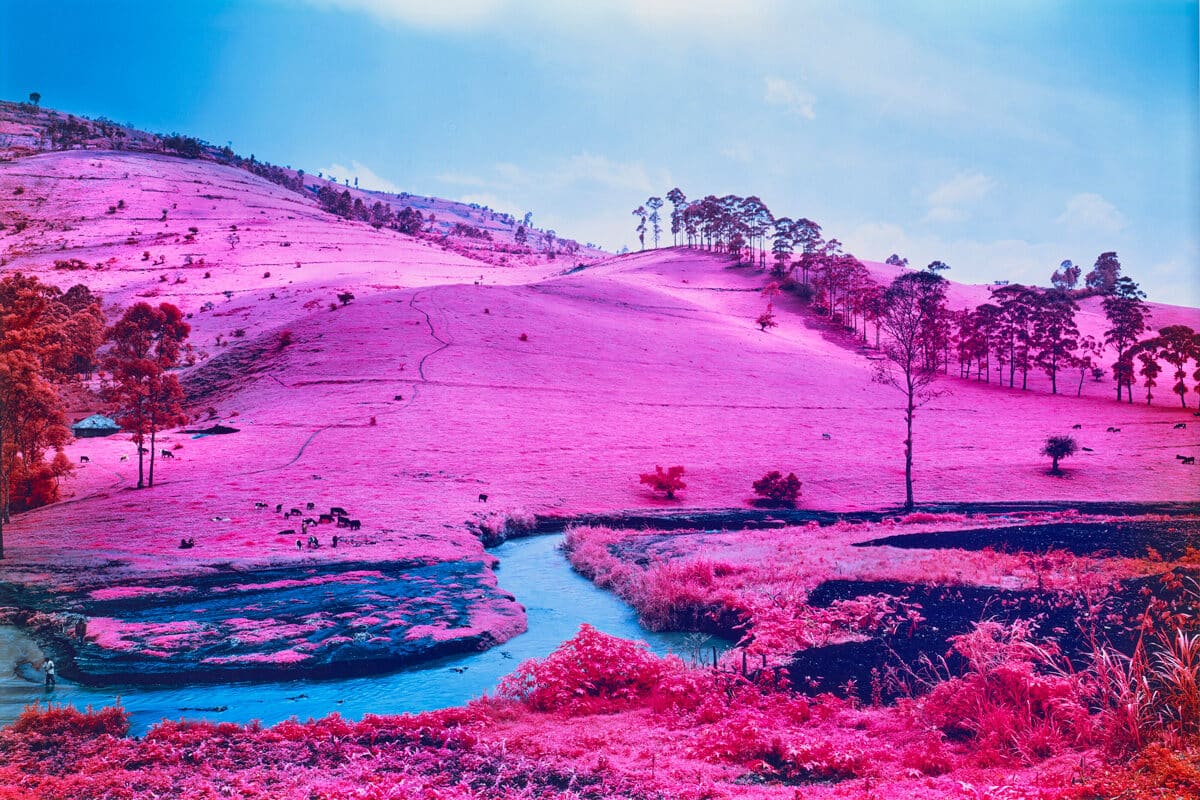 © Richard Mosse / Courtesy of the artist and Jack Shainman Gallery, New York.