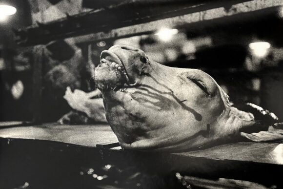 Romain-Urhausen-Sans-titre,-1961-2-Fisheye