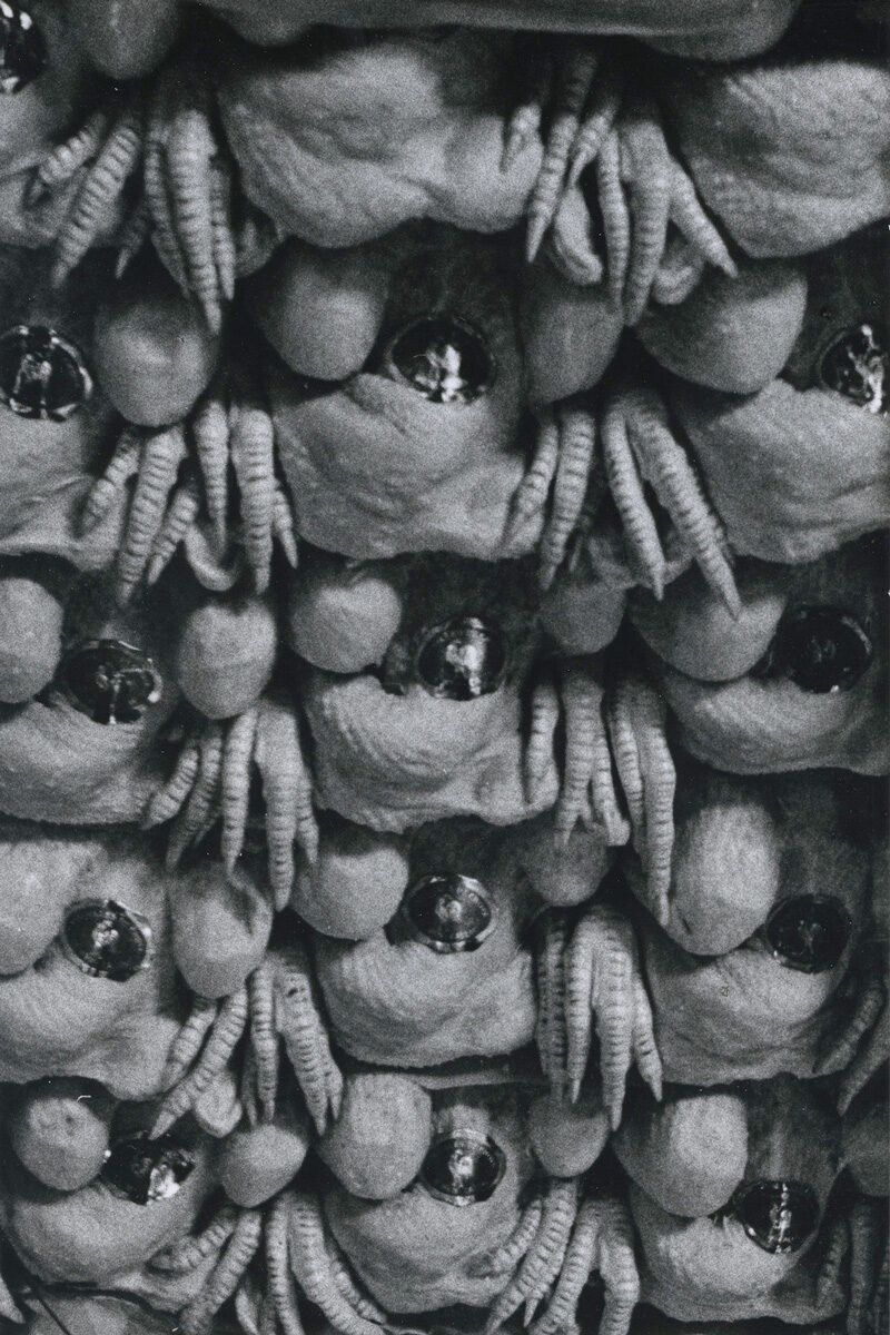 Romain-Urhausen-Sans-titre,-1961-Fisheye