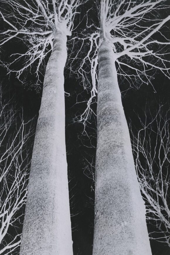 © Estate Romain Urhausen / Courtesy Les Douches la Galerie, Paris