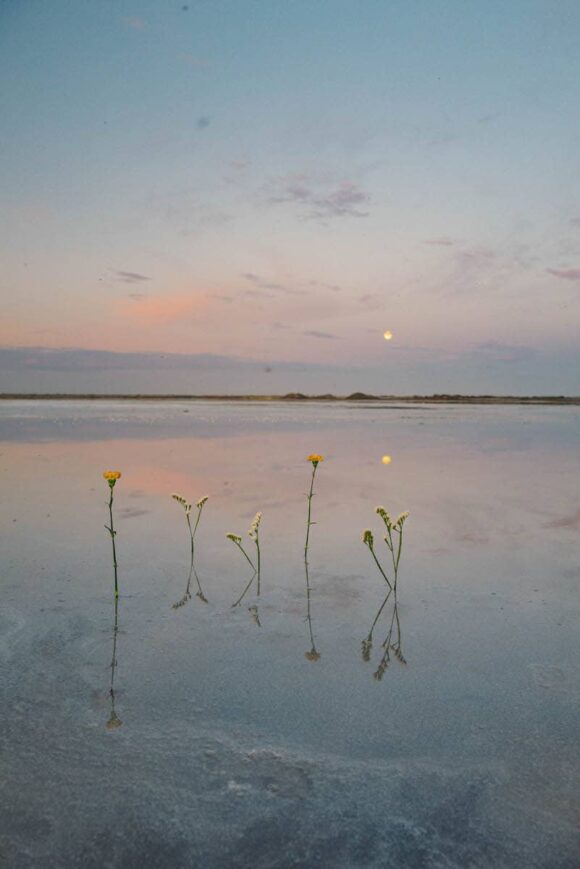 © Justine Robineau