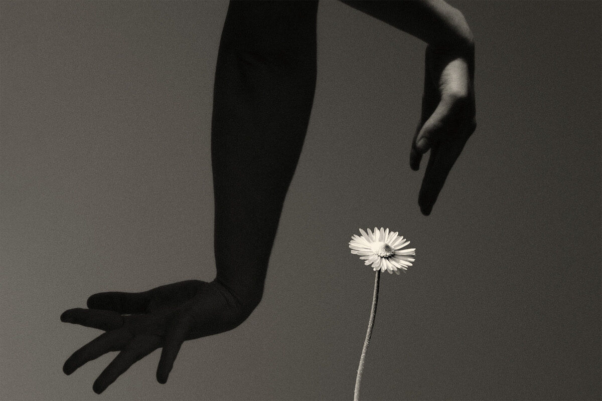 © Paul Cupido