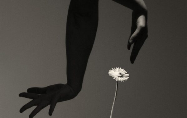 © Paul Cupido