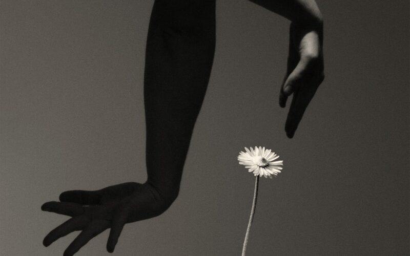 © Paul Cupido